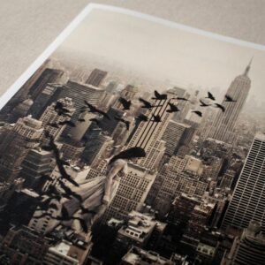 Une femme suspendue au-dessus de Manhattan se transforme en envolée d'oiseaux. Cette œuvre de photographie conceptuelle capture un instant de transition poétique où le corps humain fusionne avec le ciel, défiant les structures rigides des gratte-ciel new-yorkais.