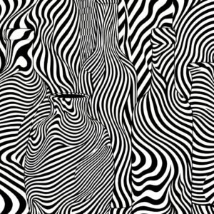 Imaginez un monde où les objets du quotidien, d'ordinaire si silencieux, se mettent à vibrer d'une énergie invisible. Ces flacons, hérités des maîtres du passé, s'animent sous vos yeux, portés par des ondes graphiques hypnotiques. Une rencontre inattendue entre la sérénité d'un atelier d'autrefois et le rythme effréné de l'abstraction optique moderne.