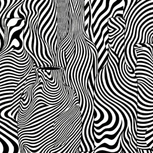 Nature morte bouteilles graphiques noir blanc