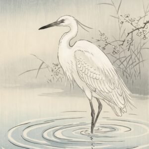 L'Aigrette de Sérénité