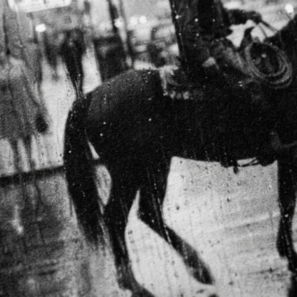Le Cavalier de la Pluie