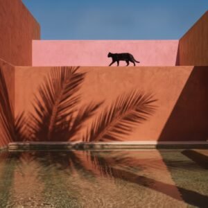Le Chat de la Riad