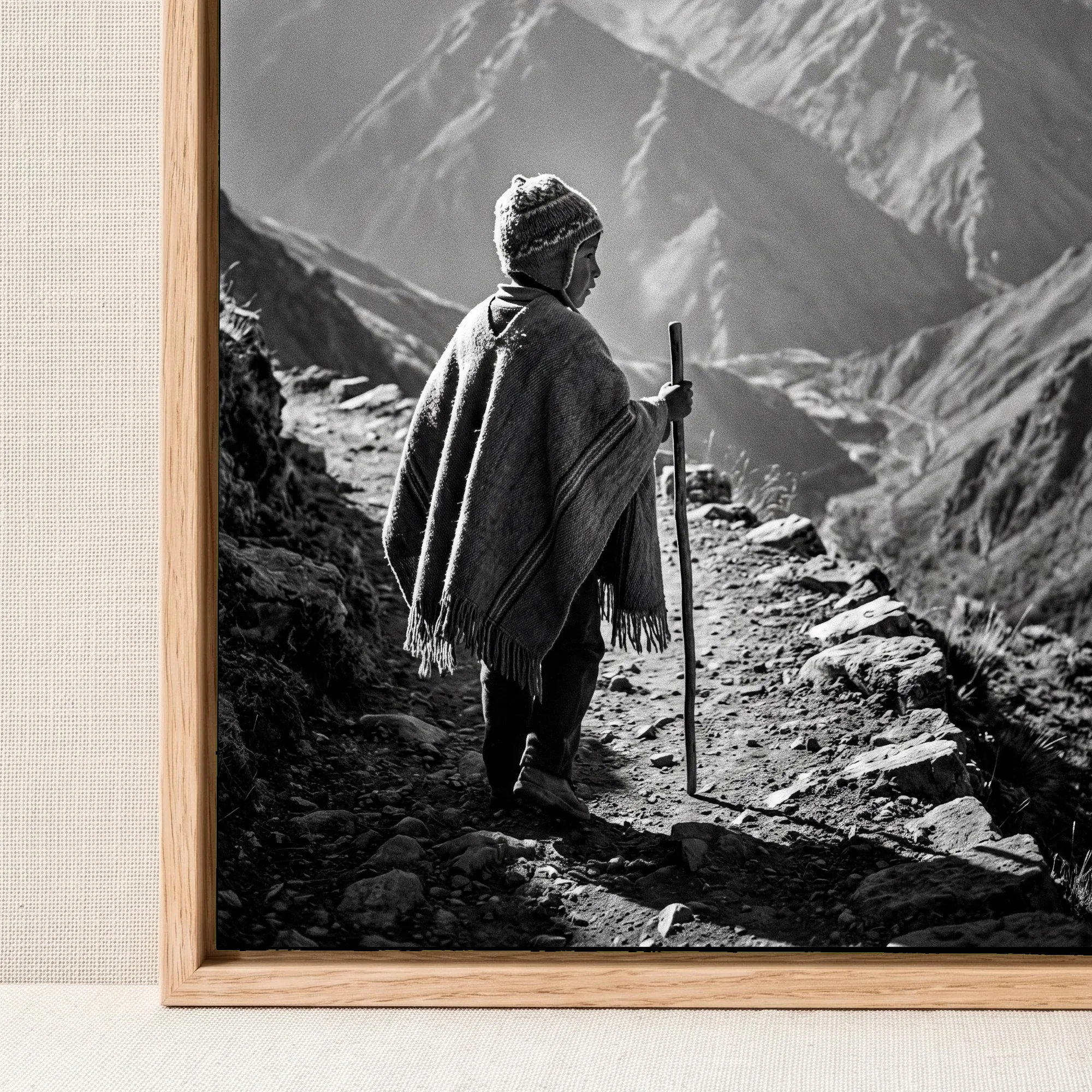 Le Berger des Andes