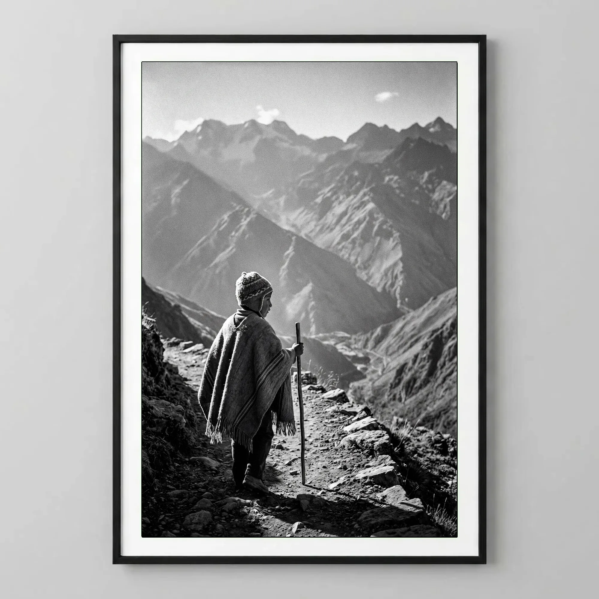 Le Berger des Andes