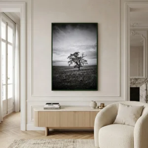 L'Arbre du Silence