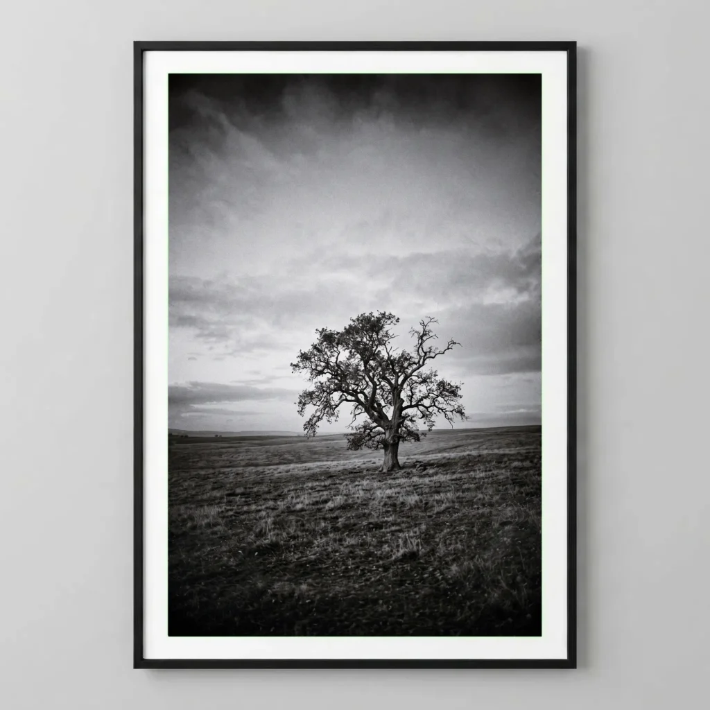 L'Arbre du Silence