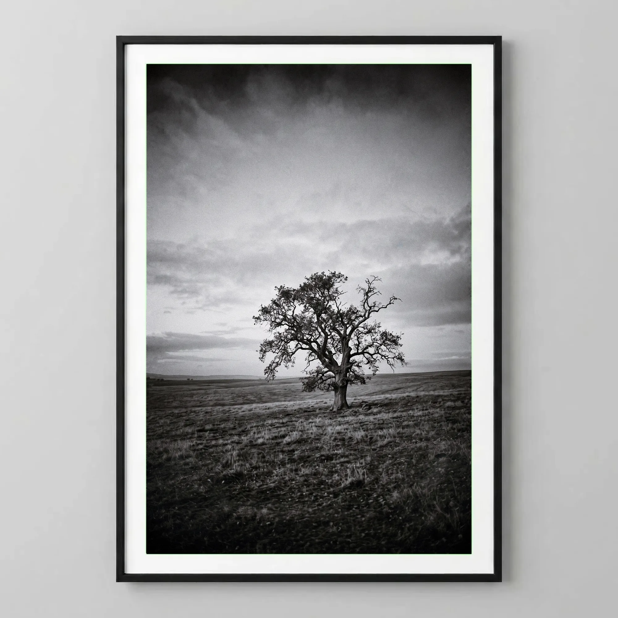 L'Arbre du Silence
