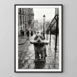 Le Messager de Montmartre