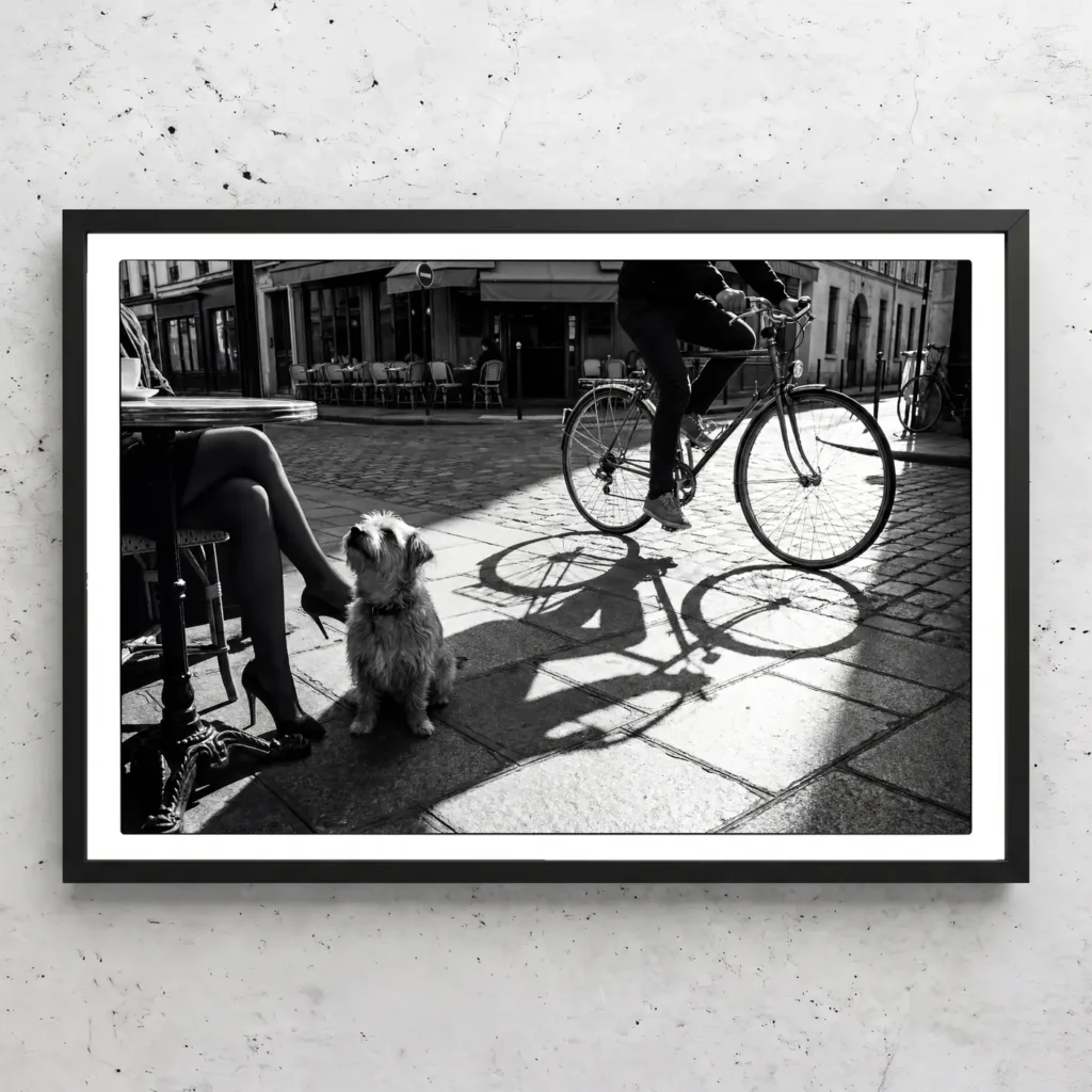 Tableau d'art Chien, Paris encadré - Tirage d'art contemporain