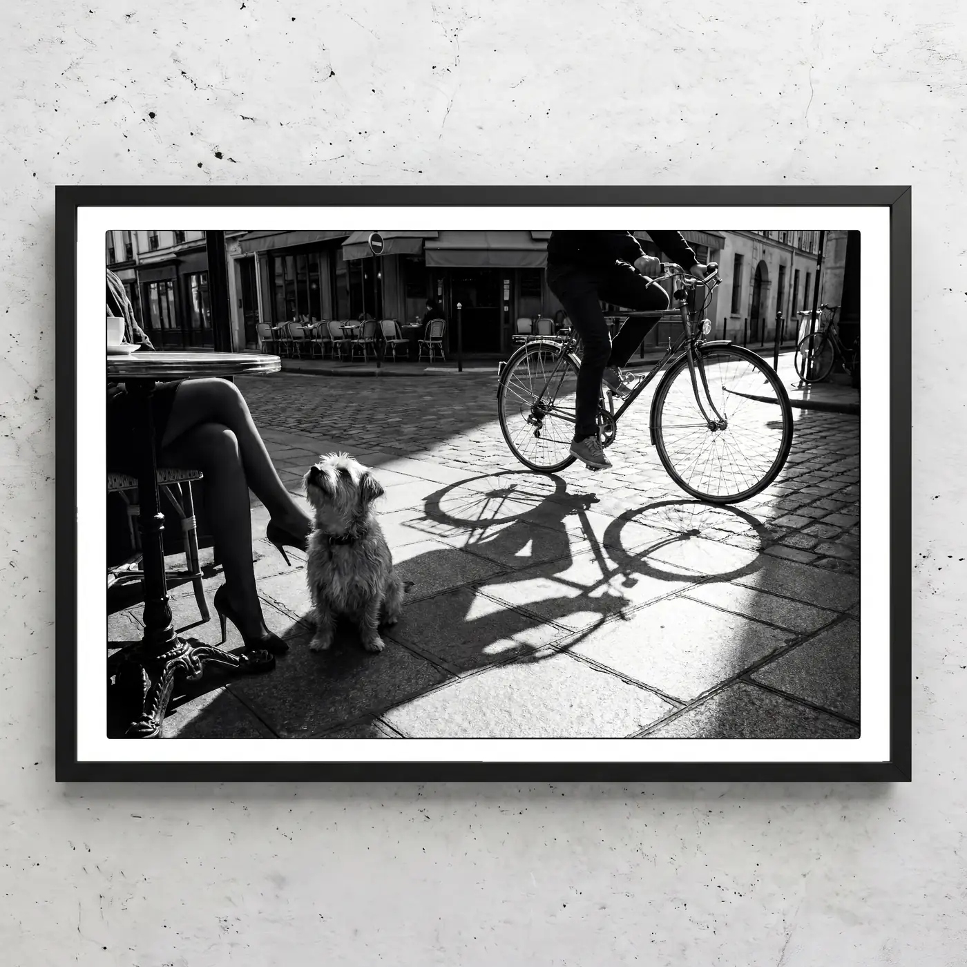 Chien, Paris