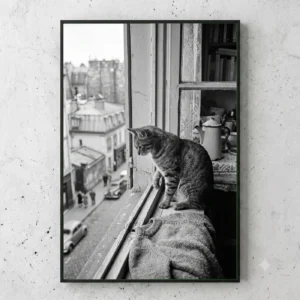 Fenêtre sur Paris – Image 1