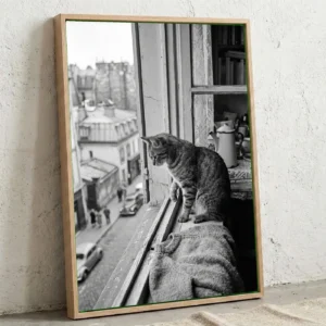 Fenêtre sur Paris – Image 2