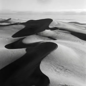Œuvre originale L'Astre des Sables - Galerie Maiiart