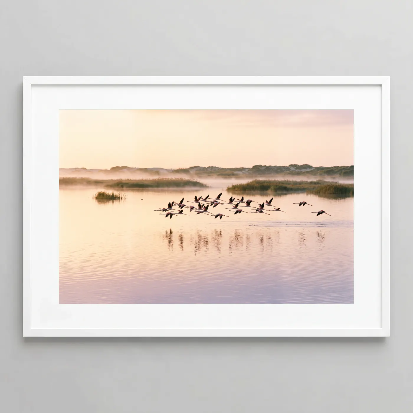 L'Envol des Flamants