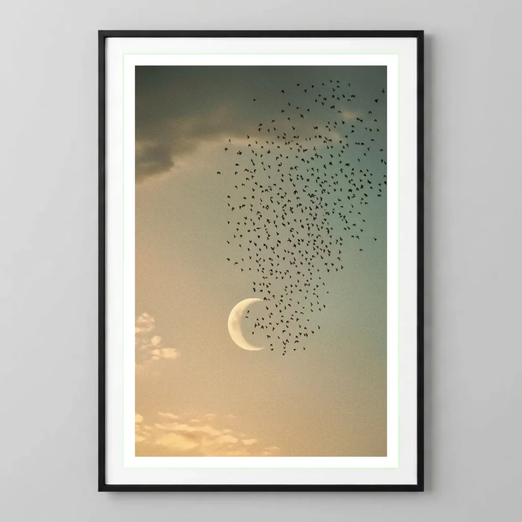 La lune aux étourneaux