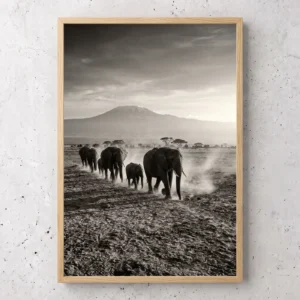 La Marche d'Amboseli