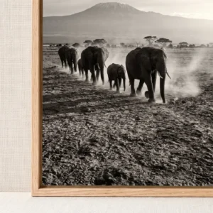 La Marche d'Amboseli