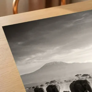 La Marche d'Amboseli