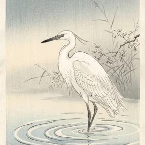 L'Aigrette de Sérénité – Image 7