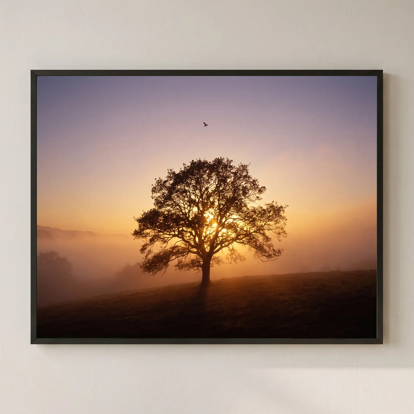 L'Arbre du Solstice – Image 1