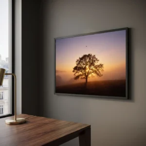 L'Arbre du Solstice – Image 2