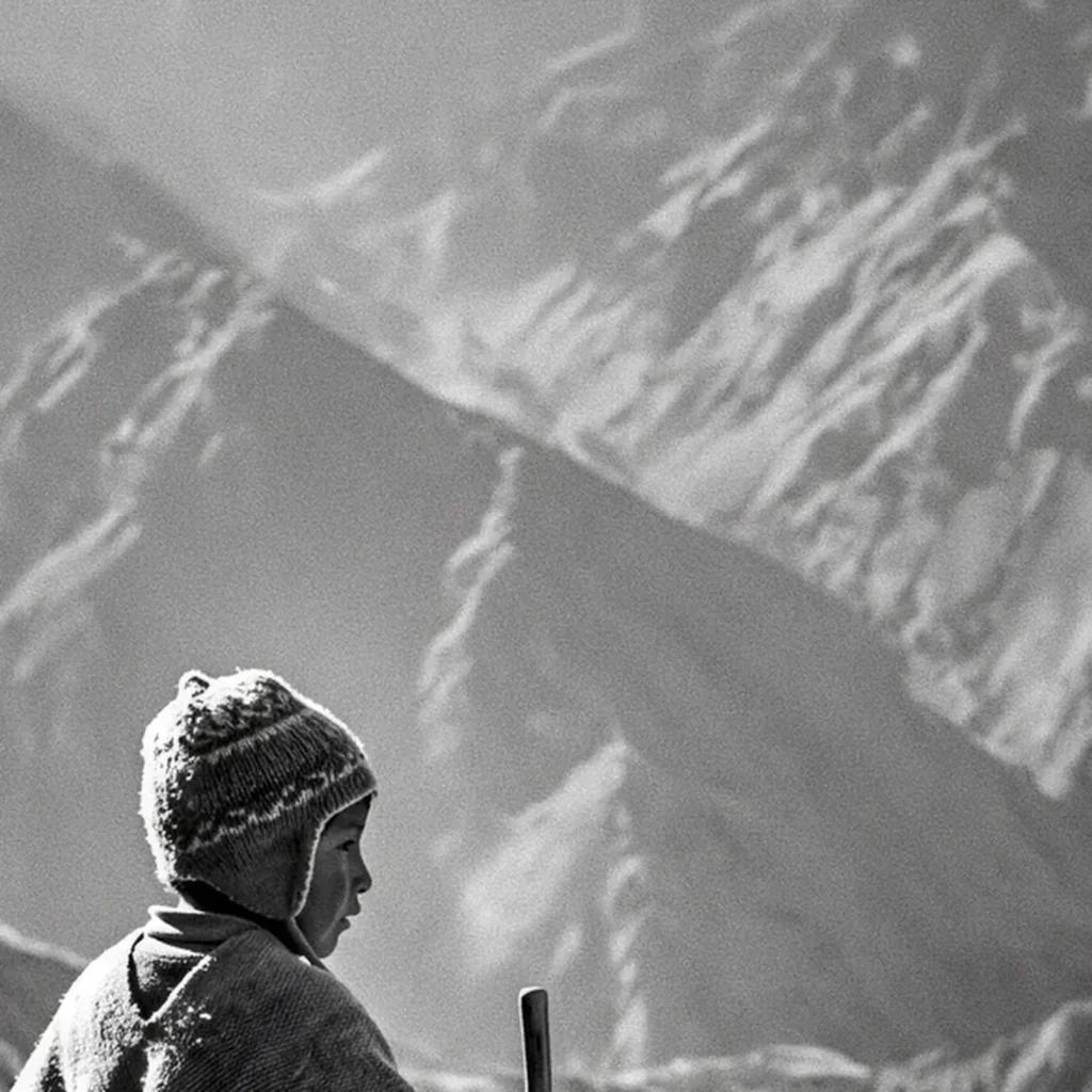 Le Berger des Andes