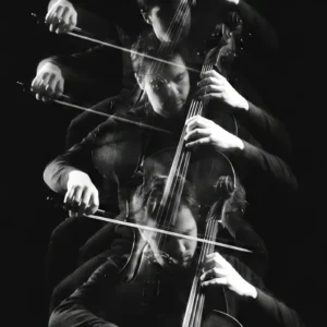 L'écho solitaire – Image 3