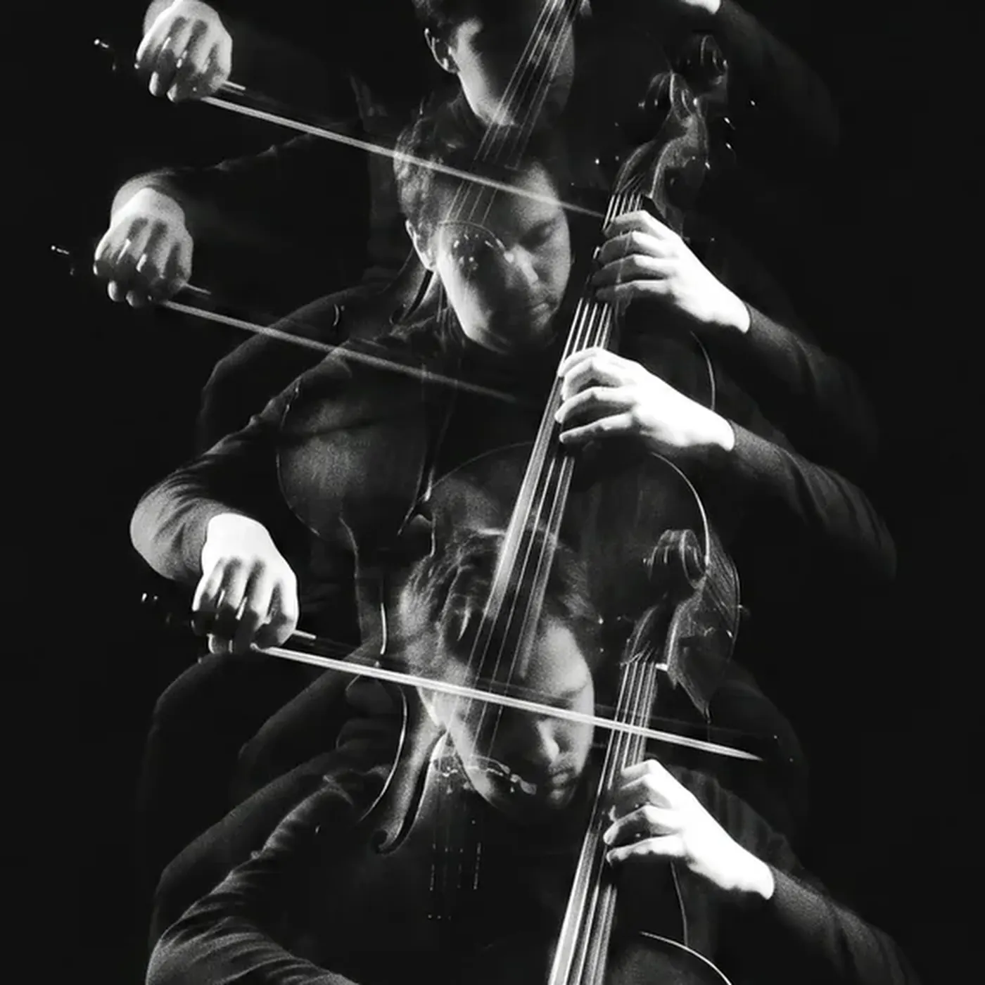 L'écho solitaire – Image 3