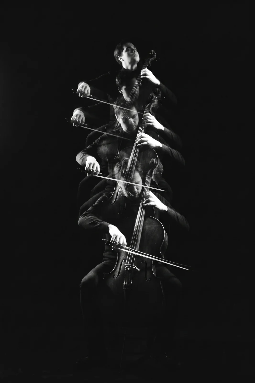 L'écho solitaire – Image 7
