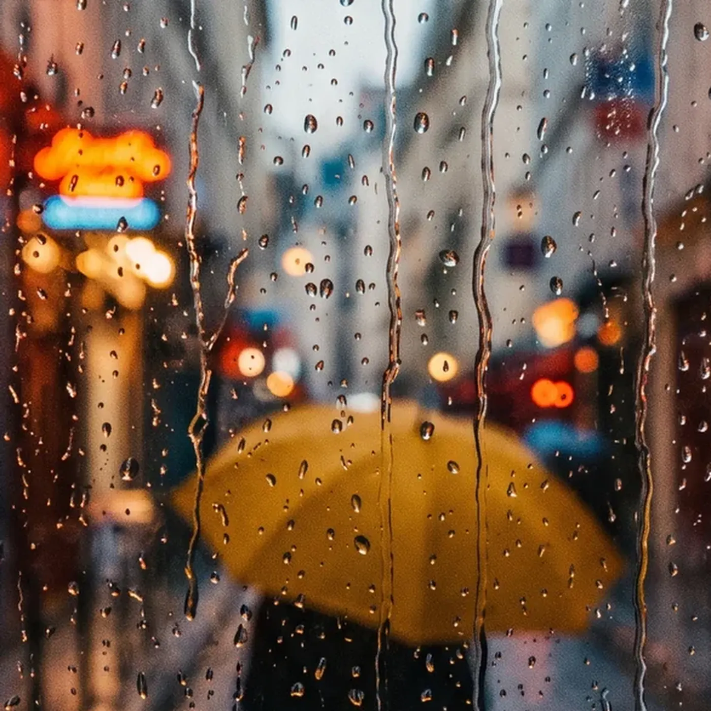 Silence sous la Pluie – Image 3