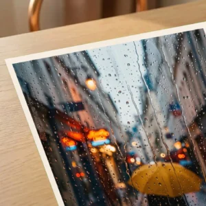 Silence sous la Pluie – Image 6